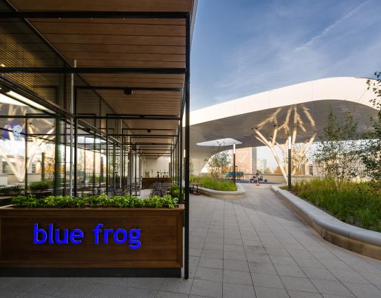 AmRest Notka Prasowa - Debiut marki blue frog w Polsce