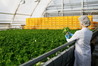 Senior inspector checking quality at food factory